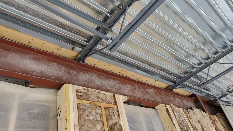 Steel beam and roof structure